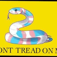 Brooke Marie (@BrookeMarie) Official Clapper | Watch Brooke Marie's