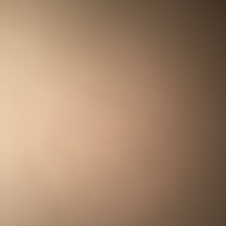 Clapper profile picture for @Plant