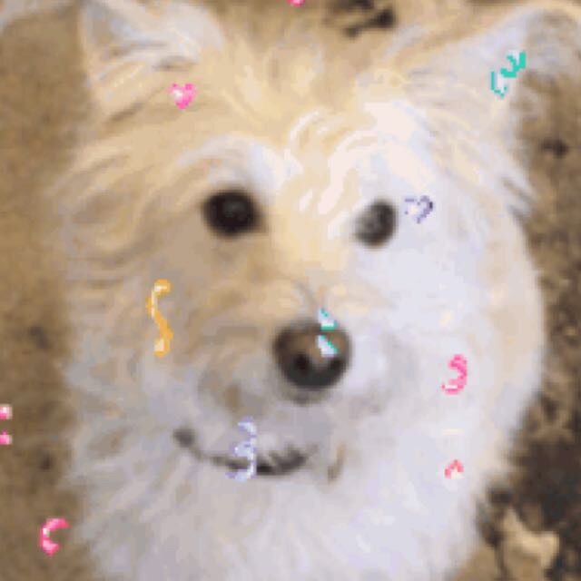 Clapper profile picture for @Goodies