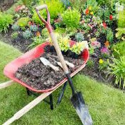 Clapper profile picture for @Landscaping