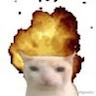 Clapper profile picture for @Technicalities