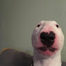 Clapper profile picture for @Simplicity
