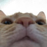 Clapper profile picture for @estrogen