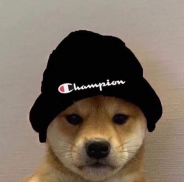 Clapper profile picture for @Misconception