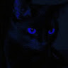 Clapper profile picture for @verdict