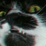 Clapper profile picture for @bungalow