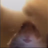 Clapper profile picture for @scientific