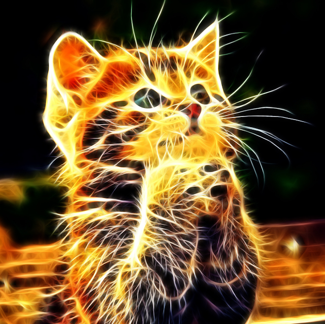 Clapper profile picture for @Wilson