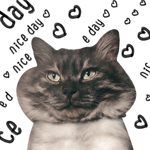 Clapper profile picture for @gabrielle