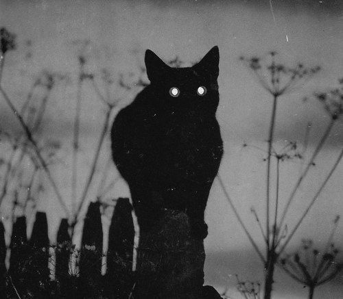 Clapper profile picture for @discharge