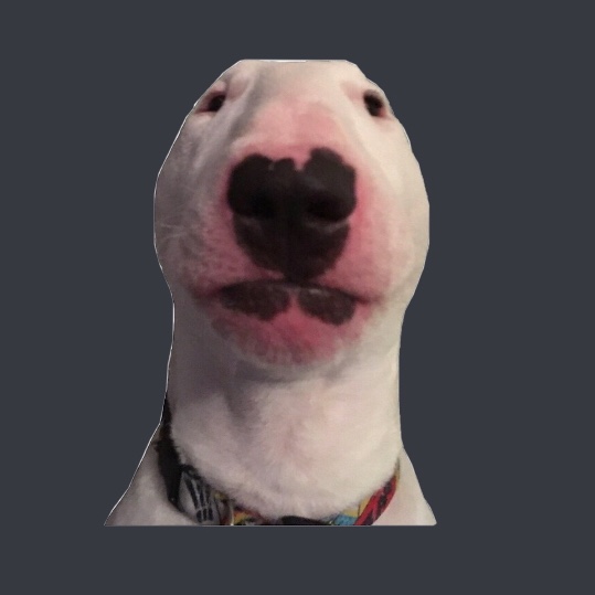 Clapper profile picture for @Walter