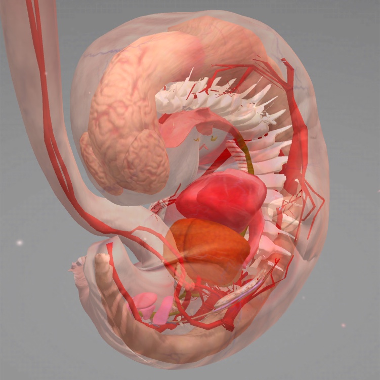 Clapper profile picture for @abortion