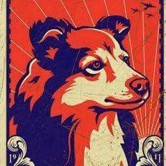 Clapper profile picture for @git