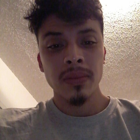 Clapper profile picture for @Nest