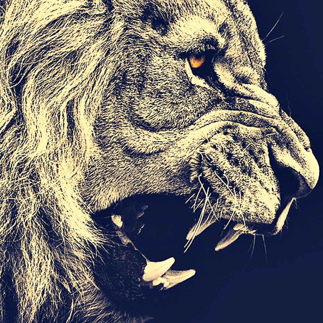 Clapper profile picture for @Jaat