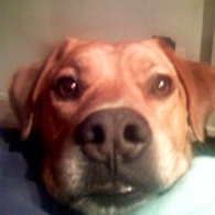 Clapper profile picture for @Barney