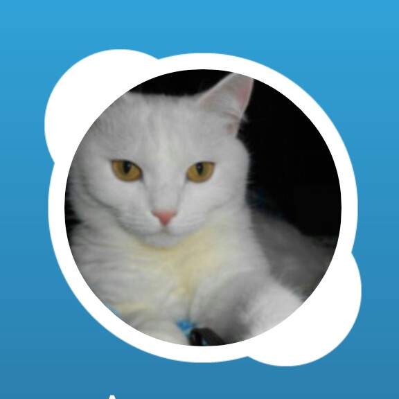 Clapper profile picture for @Tan