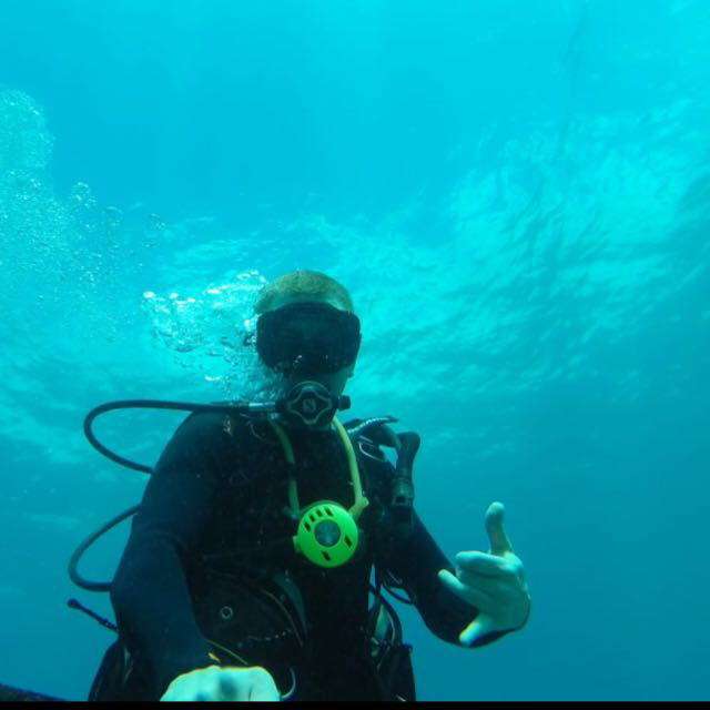 Clapper profile picture for @Reef