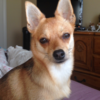 Clapper profile picture for @Janis
