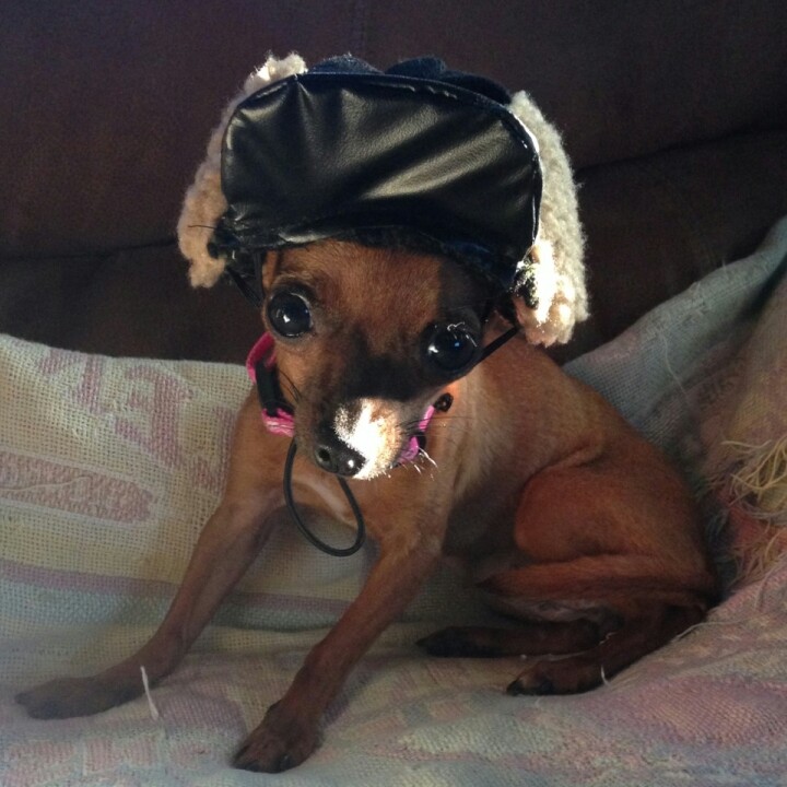 Clapper profile picture for @Daisy
