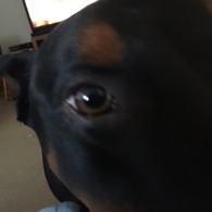 Clapper profile picture for @Melanie